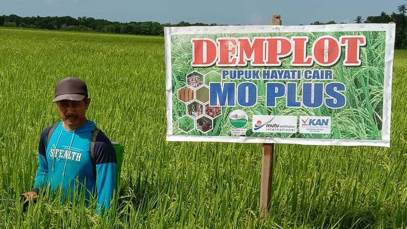 Demplot
