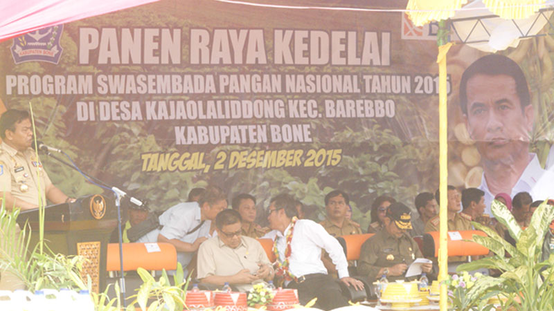 Panen Raya