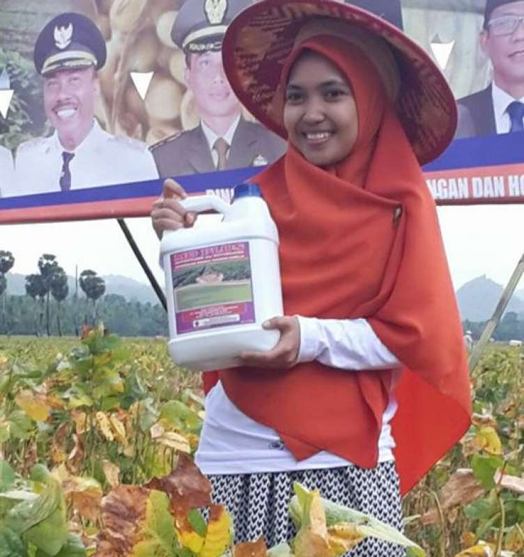 PUPUK HAYATI SOLUSI MENGURANGI KEBUTUHAN PUPUK KIMIA