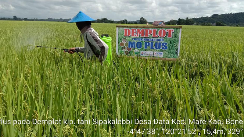 Mengenal MO Plus, Pupuk Hayati Cair dengan Segudang Manfaat untuk Tanaman